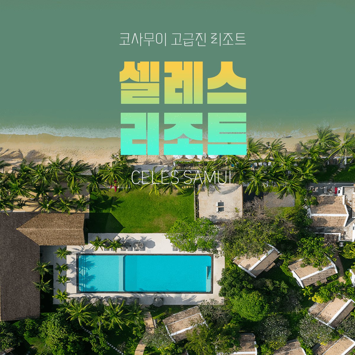 10 셀렉스