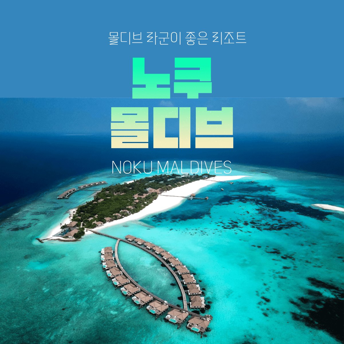 6 노구