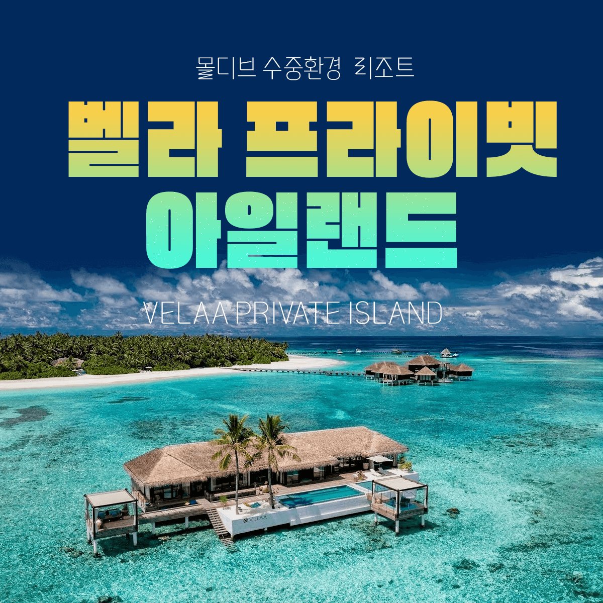 7 벨라